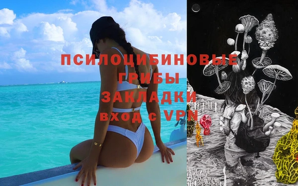 mdpv Алзамай
